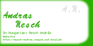 andras mesch business card